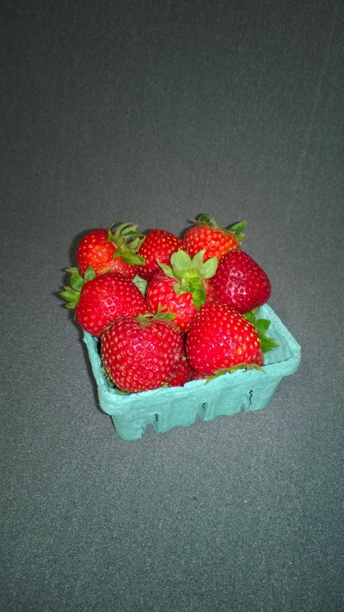 Strawberry Earliglow (June Bearing) Garden Land