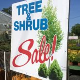 Gardenland, Gardenland USA, Tree & Shrub Sale, Plant Nursery
